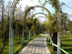 -合肥滨湖国家森林公园