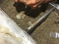 -叶氏麻糍(鼓浪屿店)