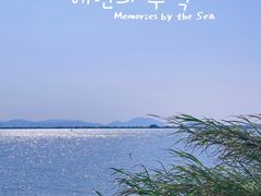 -芒洲湿地公园