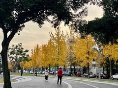 -四川大学(望江校区)