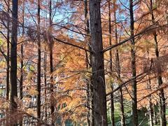 -福道