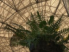 -云溪植物园