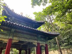 -紫霞湖公园