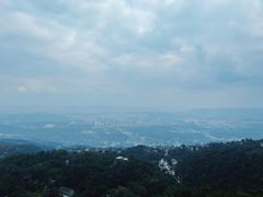 -大金鹰园