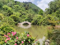 -黔灵山公园