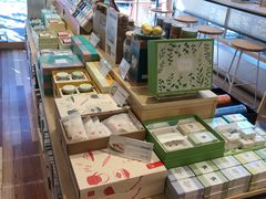 -猫的天空之城概念书店(束河店)