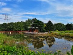 -黑龙江省森林植物园