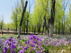 -东郊湿地公园