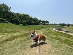 -滆湖低碳生态公园