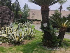 -自贡恐龙博物馆