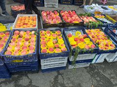 -岳各庄批发市场(西四环中路店)