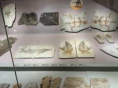 -长江文明馆