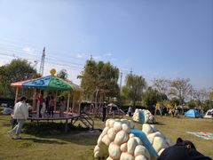 -菊园百果园