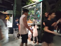 -厦门诚毅自然探索馆