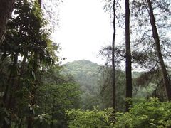-缙云山景区