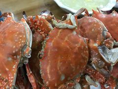 -海尚韵舍海景餐厅(朱家尖店)