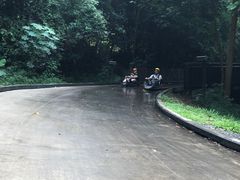 -圣淘沙天际线斜坡滑车