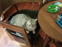 -H立方实景剧情密室(天河旗舰店)
