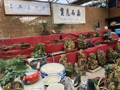 -秦美花卉(天朗·莱茵小城2期店)