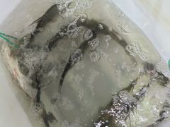 -东坡海鲜(利丰路店)