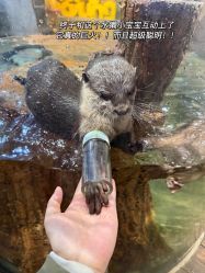 -Zoolung Zoolung动物主题公园(海信广场店)