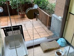 -派联宠物医院·24h·CT·异宠