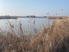 -宁波杭州湾国家湿地公园