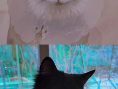 -藏猫猫咖啡主题馆(中央大道店)