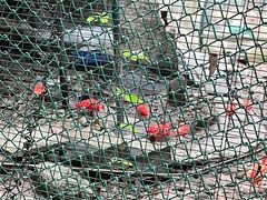 -石排湾郊野公园