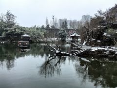 -水绘园