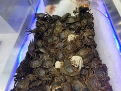 -集品鲜湾·蒸汽海鲜自助料理(青岛银座和谐广场店)
