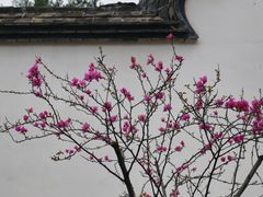-乌山风景区