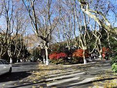 -北山街历史文化街区