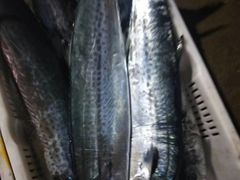 -登州市场(登州路店)