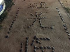 -阿弟特色海鲜餐厅·大排档(平潭店)