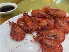 -鸿达渔港
