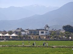 -喜林苑·稻田餐厅(品相府店)