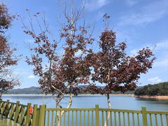 -广州市流溪河国家森林公园