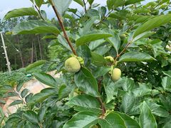 -重庆云阳龙缸景区