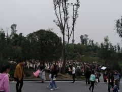 -枫香湖儿童公园