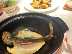 -悦景酒家(罗湖店)