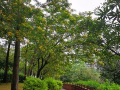 -广东花都湖国家湿地公园