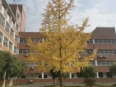 -山东农业大学(岱宗校区)