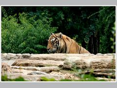 -西安秦岭野生动物园