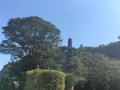 -南沙蒲洲花园