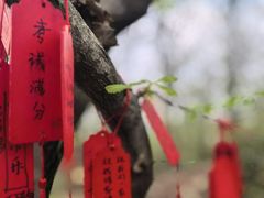 -南北湖风景区