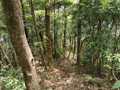 -广州市石门国家森林公园