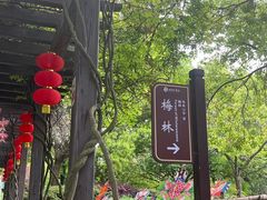 -白马涧龙池景区