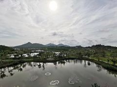 -沙美村