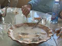 -煲来饱去冷水鱼